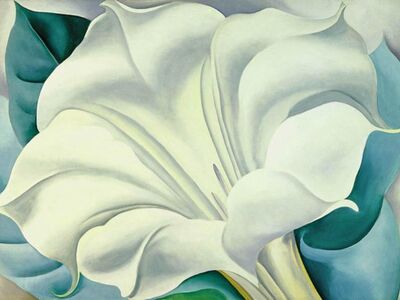 KGE 002 / Georgıa O'Keeffe / The White Flower