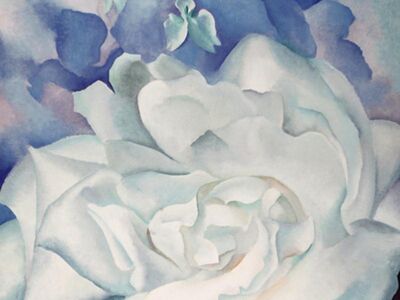 KGE 003 / Georgıa O'Keeffe / White Rose With Larkspur