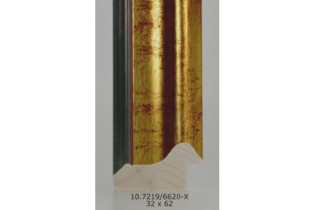10.7219 10.7219/6620-X