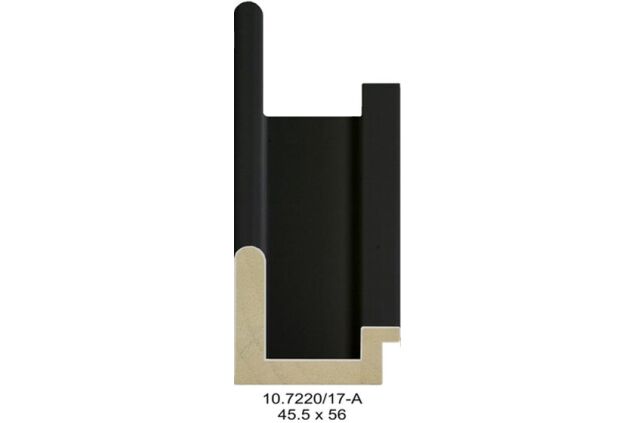 10.7220 10.7220/17-A