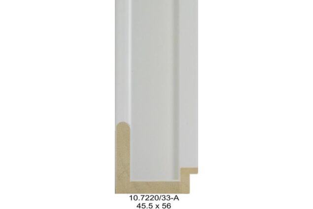 10.7220 10.7220/33-A