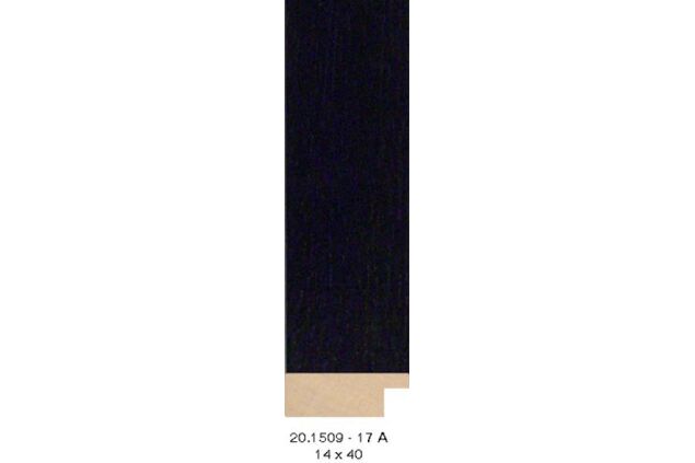 20.1509 20.1509/17-A