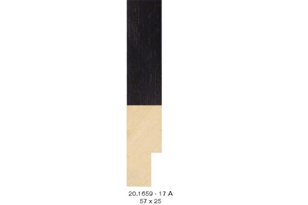 20.1659 20.1659/17-A
