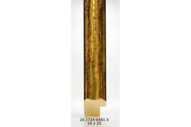 20.1724 20.1724/6581-X