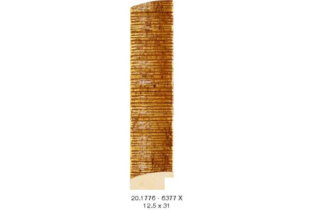 20.1776 20.1776/6377-X