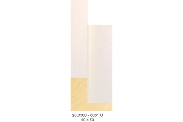 20.8388 20.8388/6061-U
