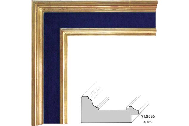 71.6685 71.6685/3508-AM