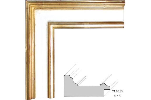 71.6685 71.6685/3511-AM