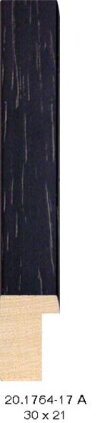 20.1764 20.1764/17-A
