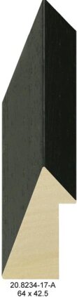 20.8234 20.8234/17-A